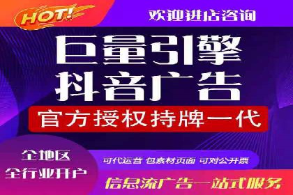 行业专家解析SEM托管代运营的成功要素